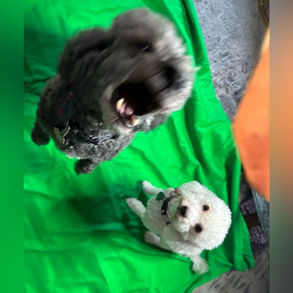 Welcome!! Thanks for visiting our closet! We look forward to visiting yo… - Picture 4 of 9